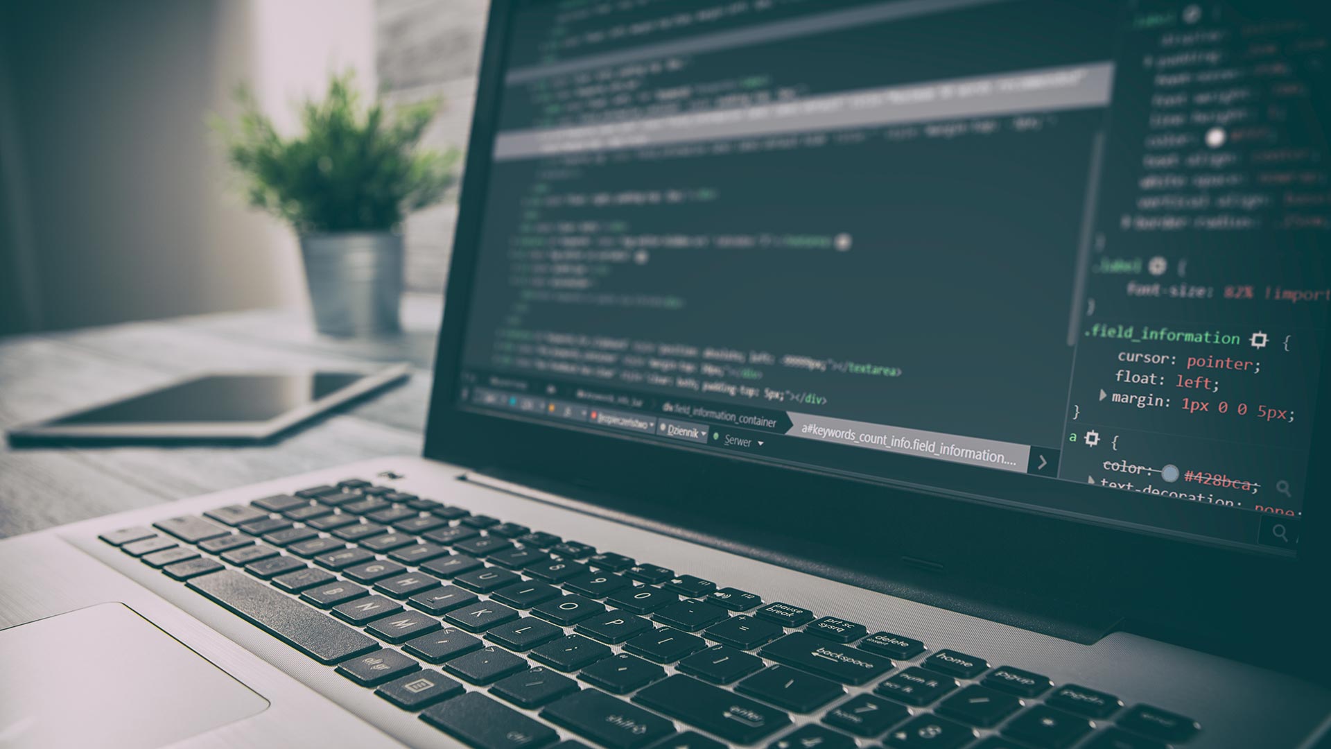 Web Development